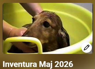 Inventura maj 2026